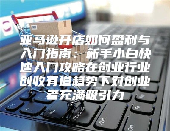 亚马逊开店如何盈利与入门指南：新手小白快速入门攻略在创业行业创收有道趋势下对创业者充满吸引力