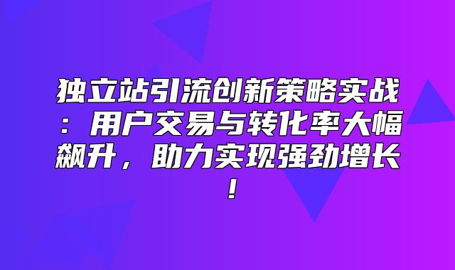 独立站引流创新策略实战：用户交易与转化率大幅飙升，助力实现强劲增长！