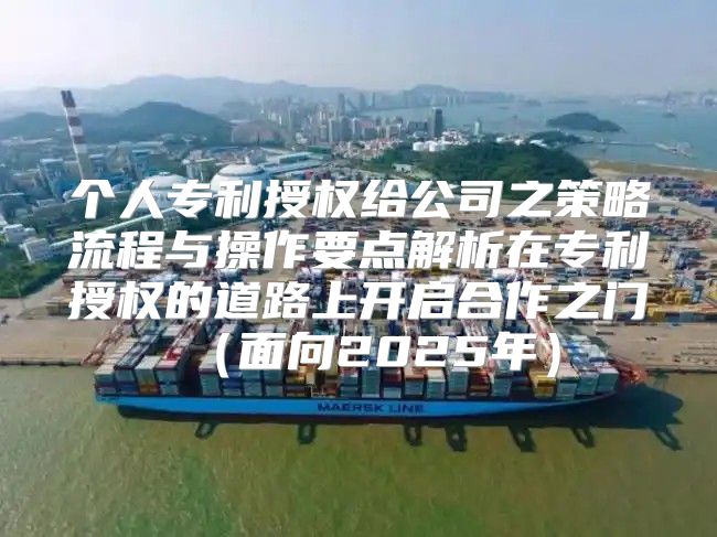 个人专利授权给公司之策略流程与操作要点解析在专利授权的道路上开启合作之门面向2025年