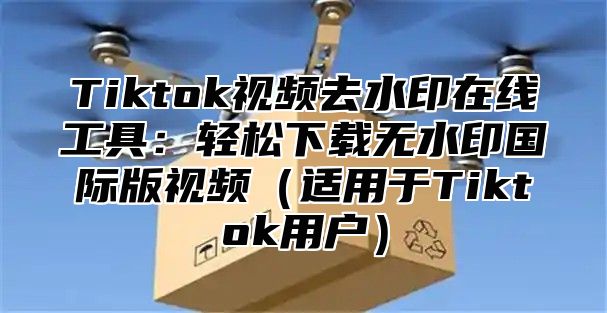 Tiktok视频去水印在线工具：轻松下载无水印国际版视频适用于Tiktok用户