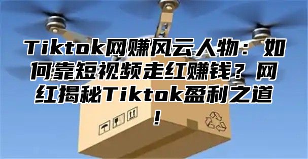 Tiktok网赚风云人物：如何靠短视频走红赚钱？网红揭秘Tiktok盈利之道！