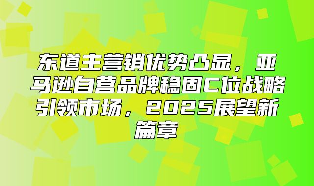 东道主营销优势凸显，亚马逊自营品牌稳固C位战略引领市场，2025展望新篇章