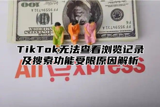 TikTok无法查看浏览记录及搜索功能受限原因解析