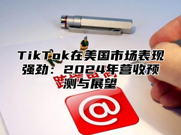 TikTok在美国市场表现强劲：2025年营收预测与展望