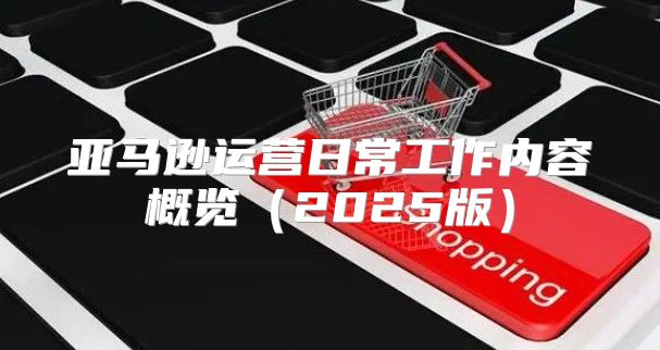 亚马逊运营日常工作内容概览2025版