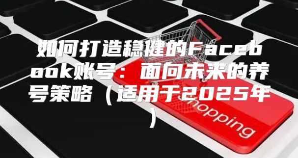 如何打造稳健的Facebook账号：面向未来的养号策略适用于2025年