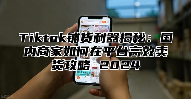 Tiktok铺货利器揭秘：国内商家如何在平台高效卖货攻略 2025