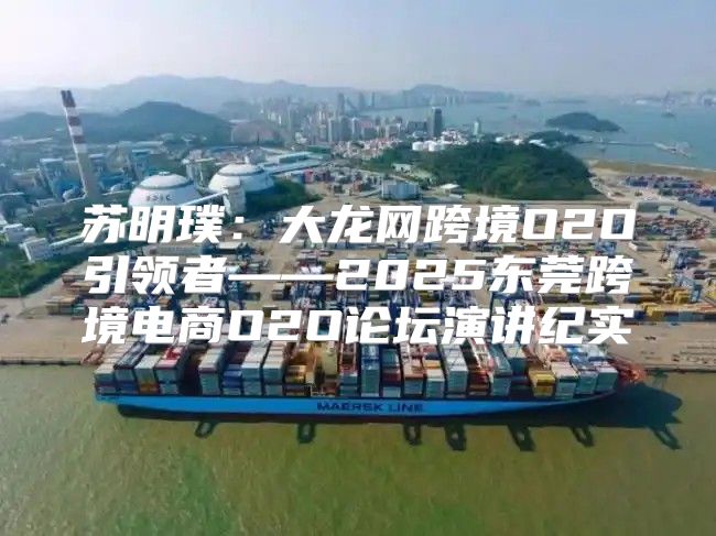 苏明璞：大龙网跨境O2O引领者——2025东莞跨境电商O2O论坛演讲纪实