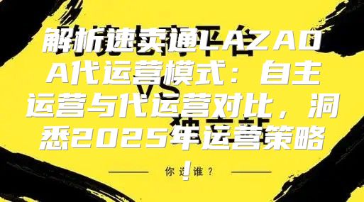 解析速卖通LAZADA代运营模式：自主运营与代运营对比，洞悉2025年运营策略！