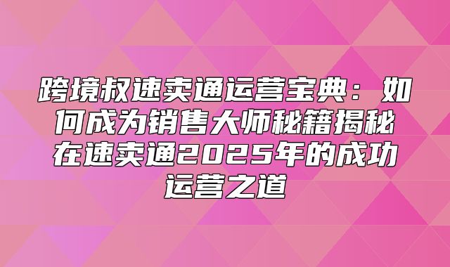 跨境叔速卖通运营宝典：如何成为销售大师秘籍揭秘在速卖通2025年的成功运营之道