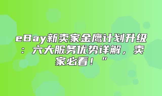 eBay新卖家金鹰计划升级：六大服务优势详解，卖家必看！”
