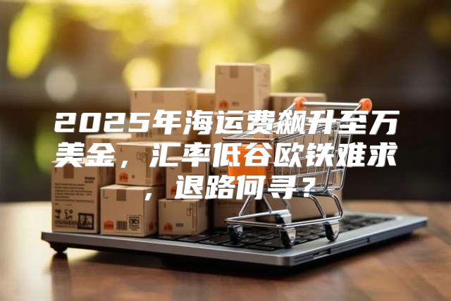 2025年海运费飙升至万美金，汇率低谷欧铁难求，退路何寻？