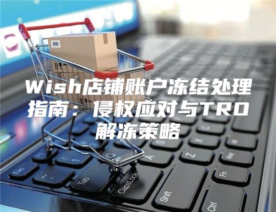 Wish店铺账户冻结处理指南：侵权应对与TRO解冻策略
