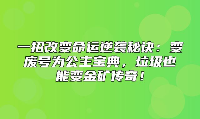 一招改变命运逆袭秘诀：变废号为公主宝典，垃圾也能变金矿传奇！