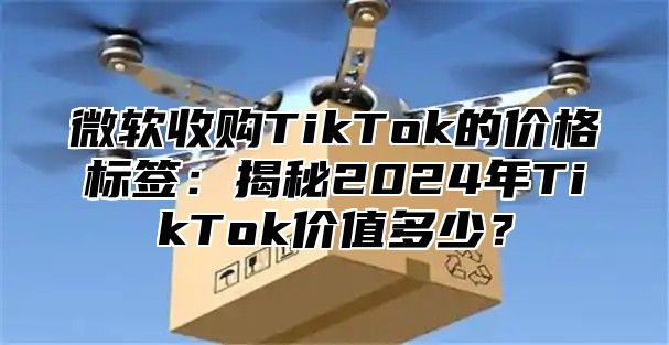 微软收购TikTok的价格标签：揭秘2025年TikTok价值多少？