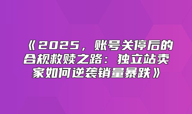 2025，账号关停后的合规救赎之路：独立站卖家如何逆袭销量暴跌