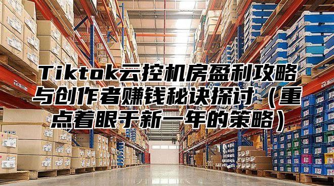 Tiktok云控机房盈利攻略与创作者赚钱秘诀探讨重点着眼于新一年的策略