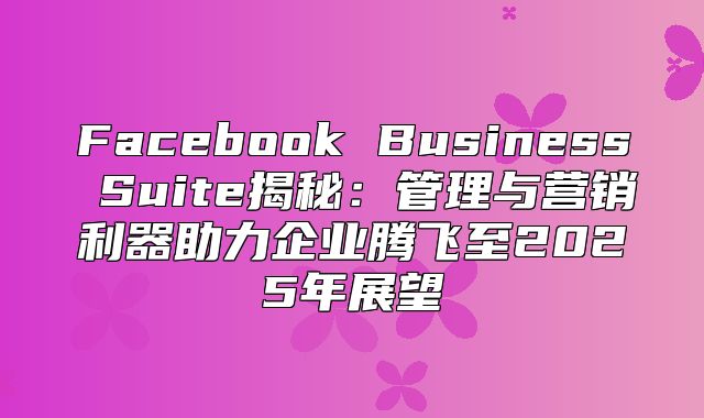 Facebook Business Suite揭秘：管理与营销利器助力企业腾飞至2025年展望