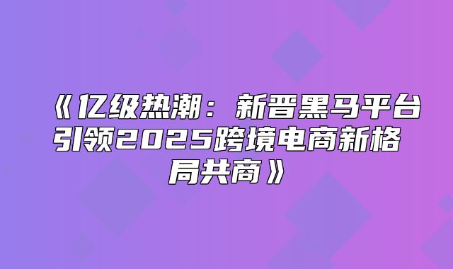 亿级热潮：新晋黑马平台引领2025跨境电商新格局共商