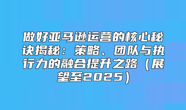 做好亚马逊运营的核心秘诀揭秘：策略、团队与执行力的融合提升之路展望至2025