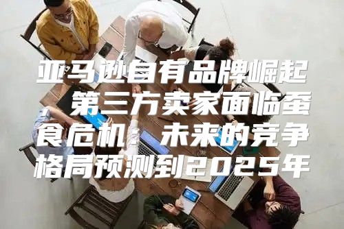 亚马逊自有品牌崛起，第三方卖家面临蚕食危机：未来的竞争格局预测到2025年