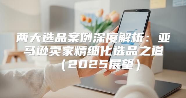 两大选品案例深度解析：亚马逊卖家精细化选品之道2025展望