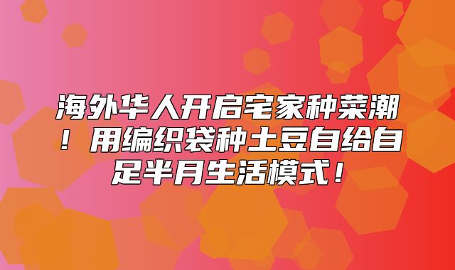 海外华人开启宅家种菜潮！用编织袋种土豆自给自足半月生活模式！