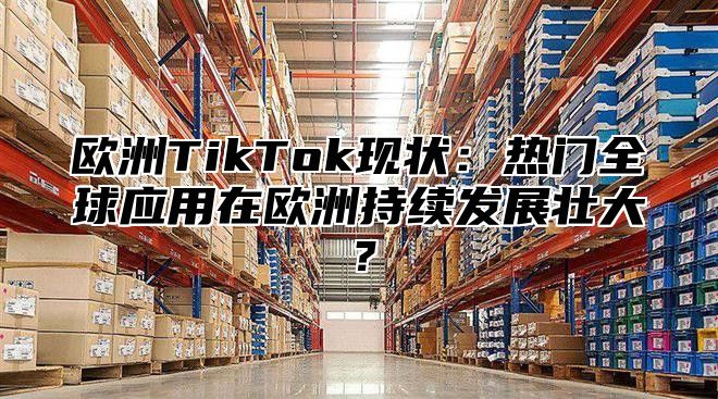 欧洲TikTok现状：热门全球应用在欧洲持续发展壮大？