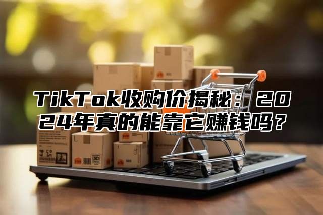 TikTok收购价揭秘：2025年真的能靠它赚钱吗？