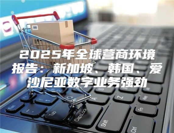 2025年全球营商环境报告：新加坡、韩国、爱沙尼亚数字业务强劲
