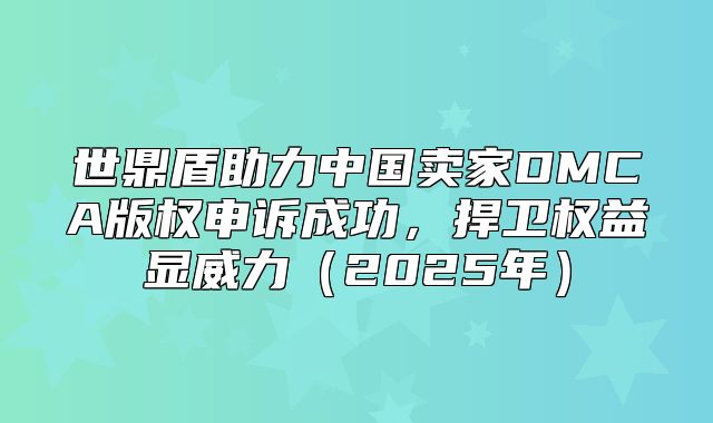世鼎盾助力中国卖家DMCA版权申诉成功，捍卫权益显威力2025年