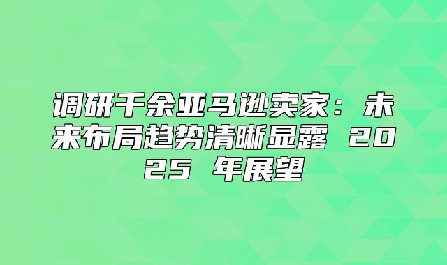 调研千余亚马逊卖家：未来布局趋势清晰显露 2025 年展望