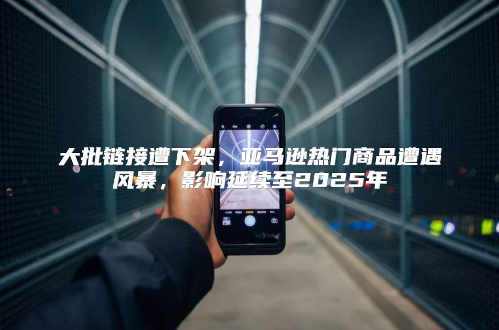大批链接遭下架，亚马逊热门商品遭遇风暴，影响延续至2025年