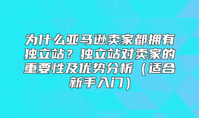 为什么亚马逊卖家都拥有独立站？独立站对卖家的重要性及优势分析适合新手入门