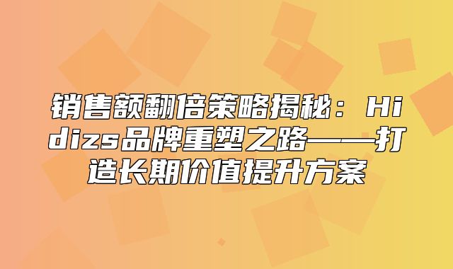 销售额翻倍策略揭秘：Hidizs品牌重塑之路——打造长期价值提升方案