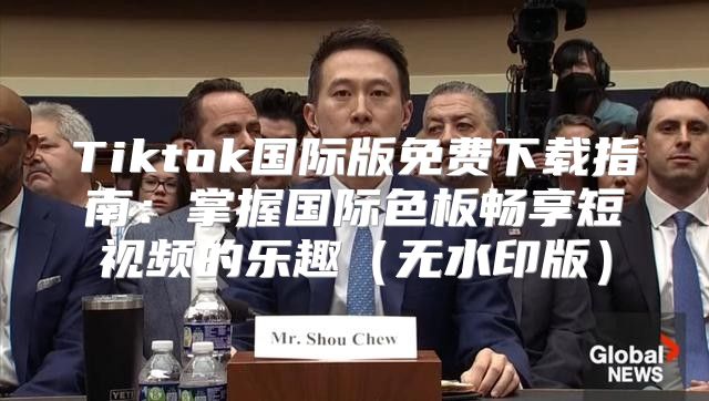 Tiktok国际版免费下载指南：掌握国际色板畅享短视频的乐趣无水印版