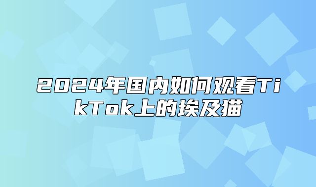 2025年国内如何观看TikTok上的埃及猫