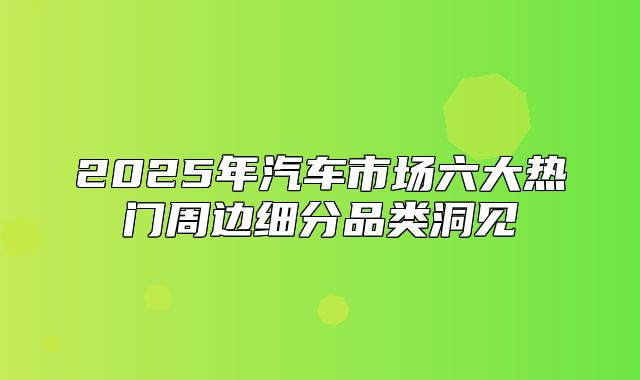 2025年汽车市场六大热门周边细分品类洞见