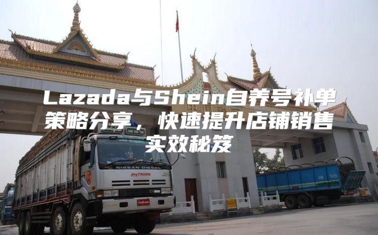 Lazada与Shein自养号补单策略分享，快速提升店铺销售实效秘笈