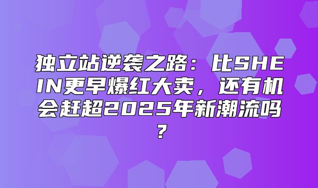 独立站逆袭之路：比SHEIN更早爆红大卖，还有机会赶超2025年新潮流吗？