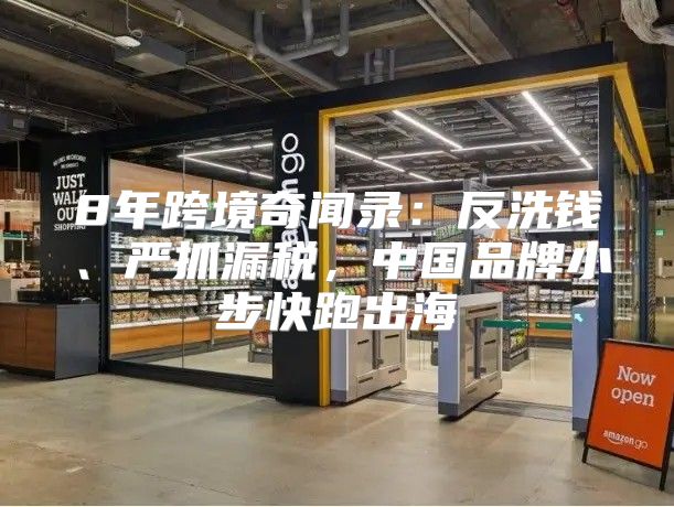 8年跨境奇闻录：反洗钱、严抓漏税，中国品牌小步快跑出海