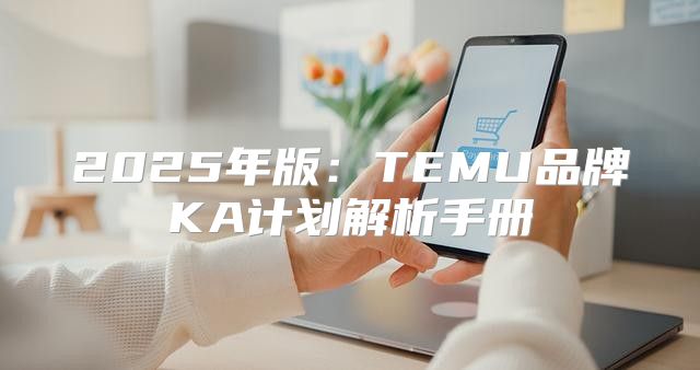2025年版：TEMU品牌KA计划解析手册