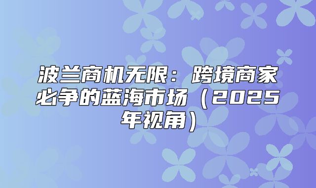 波兰商机无限：跨境商家必争的蓝海市场2025年视角