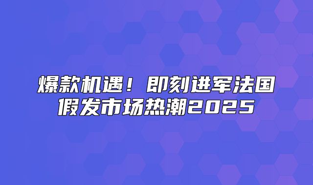 爆款机遇！即刻进军法国假发市场热潮2025