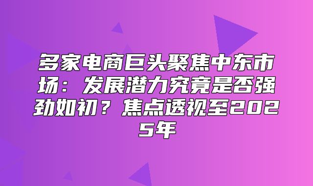 多家电商巨头聚焦中东市场：发展潜力究竟是否强劲如初？焦点透视至2025年