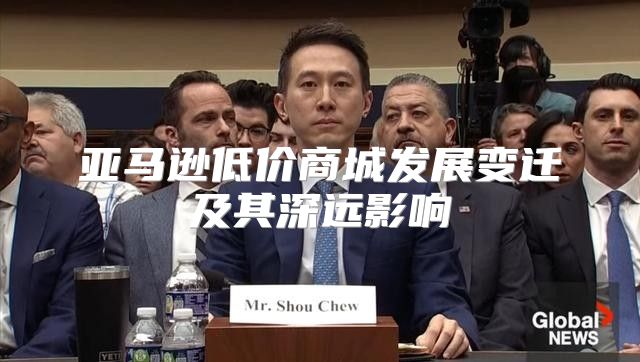 亚马逊低价商城发展变迁及其深远影响