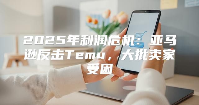 2025年利润危机：亚马逊反击Temu，大批卖家受困