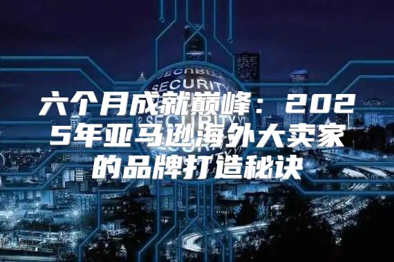 六个月成就巅峰：2025年亚马逊海外大卖家的品牌打造秘诀