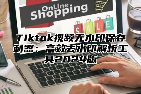 Tiktok视频无水印保存利器：高效去水印解析工具2025版