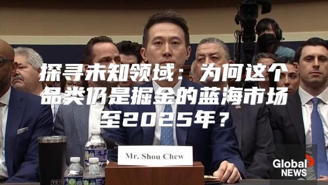 探寻未知领域：为何这个品类仍是掘金的蓝海市场至2025年？